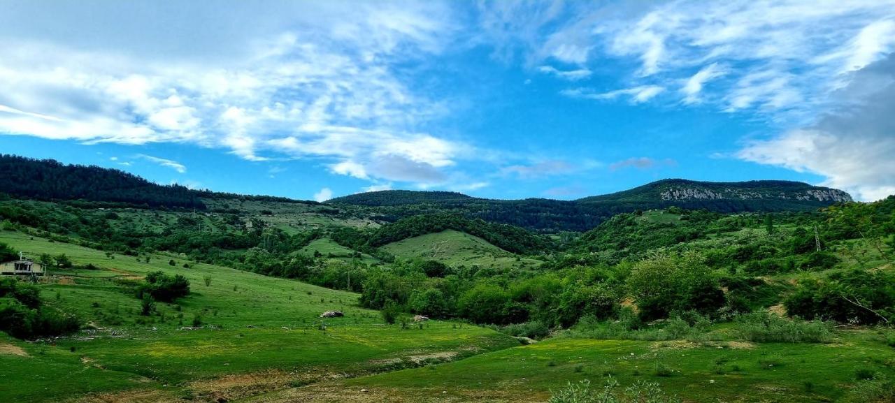Villa Eskici Staro Myasto Exteriör bild