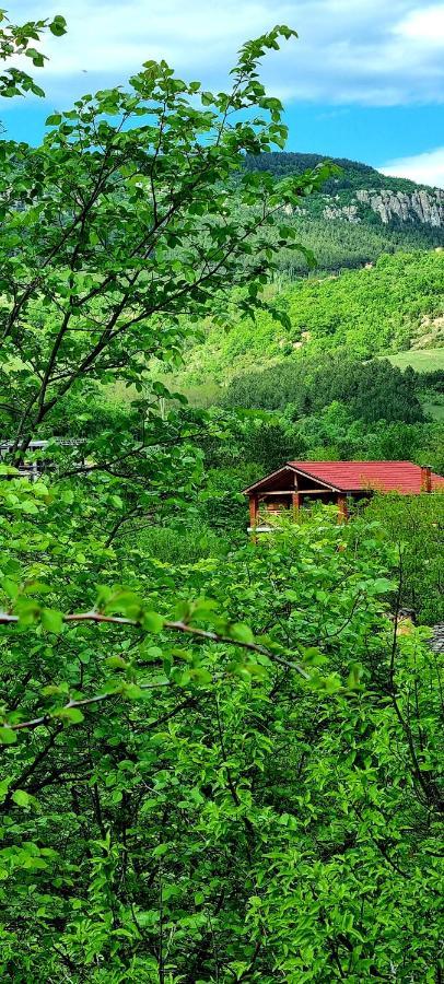 Villa Eskici Staro Myasto Exteriör bild